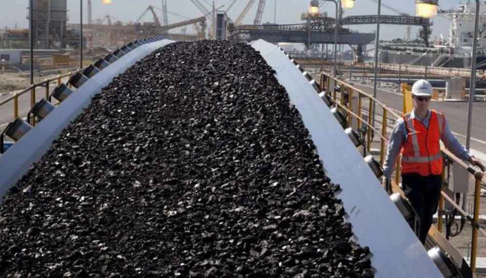 2023年前三季度全球主要煤炭进口国和地区进口情况
